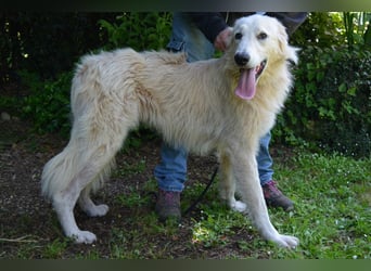 Isana - Wo ist mein neues Leben?