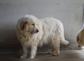 Atheron - Das Ehemaligentreffen