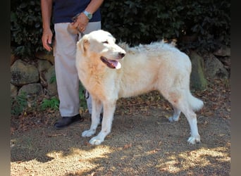 Makeen - es ist die Ohnmacht.....