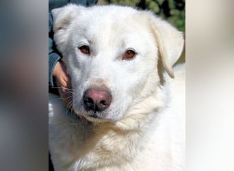 Sallustio - Der Sinn des Lebens