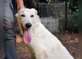 Isana - Wo ist mein neues Leben?