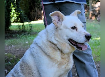 Zipper - Ein vergeudetes Leben