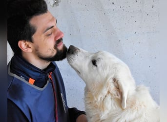 Sallustio - Der Sinn des Lebens