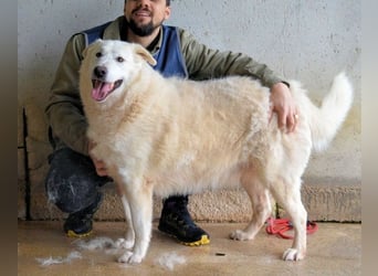 Sallustio - Der Sinn des Lebens