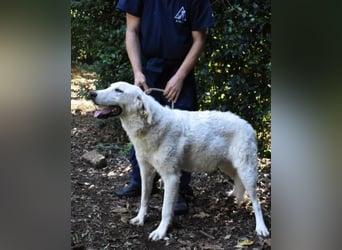 Dayton - niemals ist eine schrecklich lange Zeit