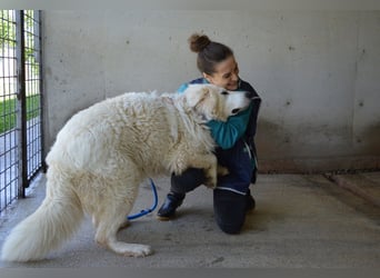 Leverett - Ich sehe was, was du (noch) nicht siehst!