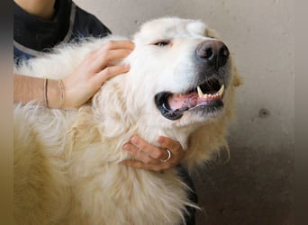 Leverett - Ich sehe was, was du (noch) nicht siehst!