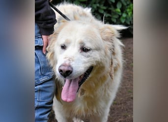 Eluard - Hoffnung auf echte Freundschaft!