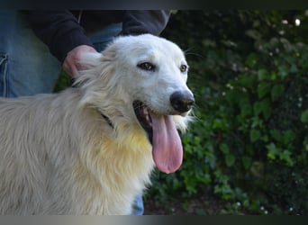 Isana - Wo ist mein neues Leben?