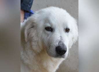 Rosvielle - Auf einer Skala von 1 bis 10....