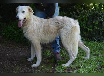 Isana - Wo ist mein neues Leben?