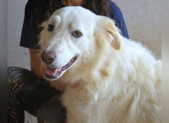 Hadrianus - weiß, es wird einmal ein Wunder gescheh'n