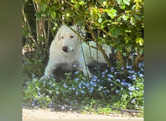 Stardust - Von der Erde zum Mond und zurück....