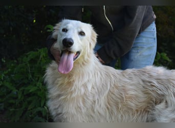 Isana - Wo ist mein neues Leben?