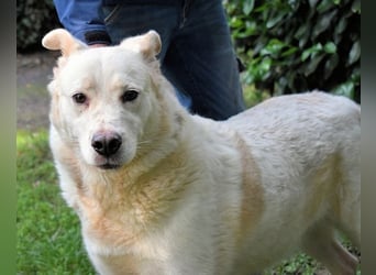 Zipper - Ein vergeudetes Leben