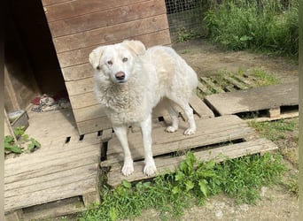 Sindbad - Zwischen Vorsicht und Vertrauen