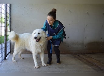 Leverett - Ich sehe was, was du (noch) nicht siehst!