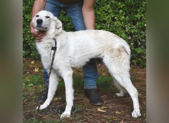 Yasmine - freundlicher Sonnenschein sucht sonniges Plätzchen