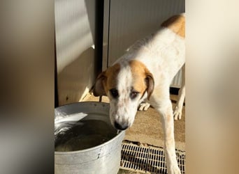 Notfall Romeo sucht seine Happy-End-Lovestory