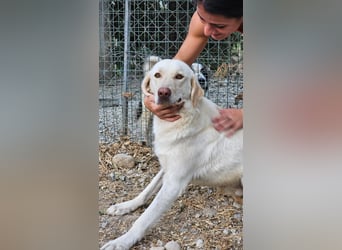 Mosé-neugierig & voller Lebensfreude