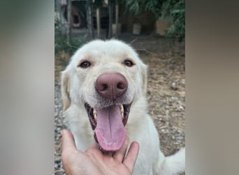 Mosé-neugierig & voller Lebensfreude