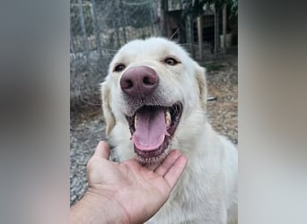 Mosé-neugierig & voller Lebensfreude