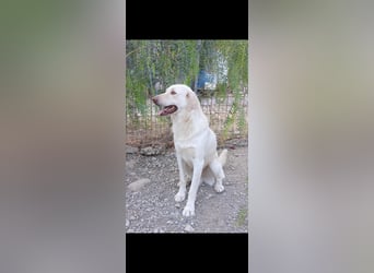 Mosé-neugierig & voller Lebensfreude