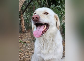 Mosé-neugierig & voller Lebensfreude