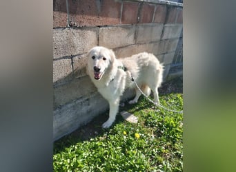 Nella,- ganz sachte leben lernen