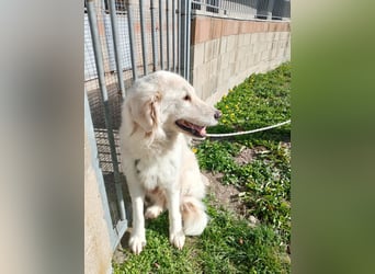 Nella,- ganz sachte leben lernen