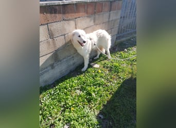 Nella,- ganz sachte leben lernen