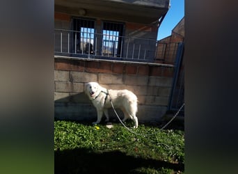 Nella,- ganz sachte leben lernen