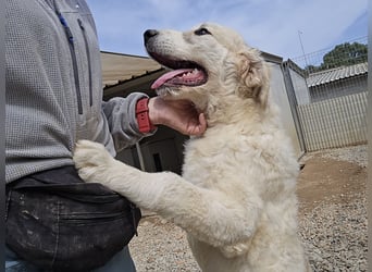 Betty: wird mein Leben bunt und schön?