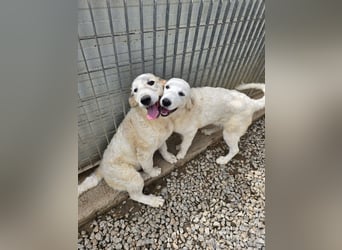 Betty: wird mein Leben bunt und schön?