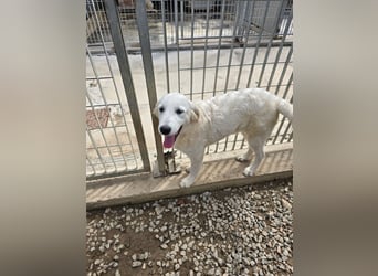 Betty: wird mein Leben bunt und schön?