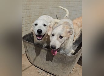 Betty: wird mein Leben bunt und schön?