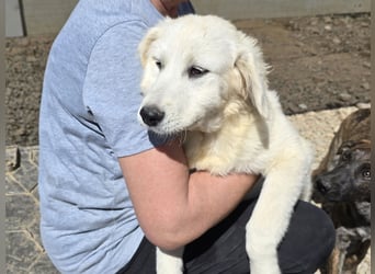 Betty: wird mein Leben bunt und schön?