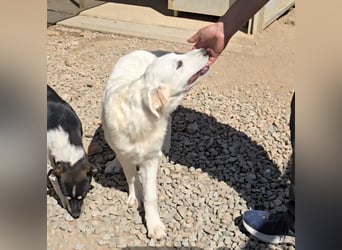 Betty: wird mein Leben bunt und schön?
