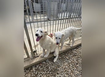 Betty: wird mein Leben bunt und schön?