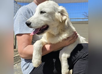 Betty: wird mein Leben bunt und schön?