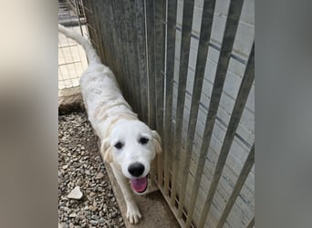 Betty: wird mein Leben bunt und schön?