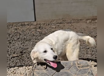 Betty: wird mein Leben bunt und schön?