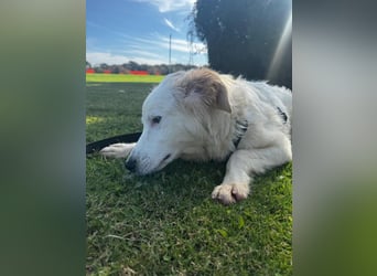 Tom: verliebt in alle Menschen