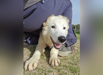 Tom: verliebt in alle Menschen