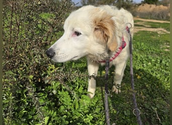 Tom: verliebt in alle Menschen