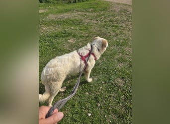 Tom: verliebt in alle Menschen