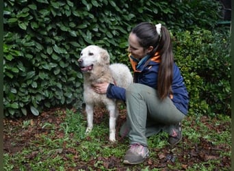 Generosa - Ein Adler bleibt ein Adler...