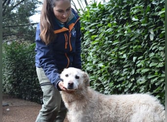 Generosa - Ein Adler bleibt ein Adler...