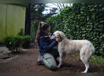 Generosa - Ein Adler bleibt ein Adler...