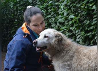 Generosa - Ein Adler bleibt ein Adler...